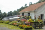 milburt farm and greenhouse