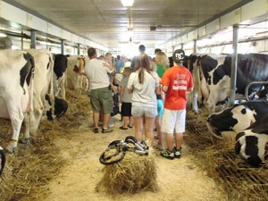 Visitors-to-the-farm-learn-about-how-animals-are-raised-and-where-their-milk-comes-from