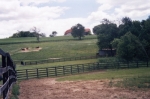 2004-horse-pastures-400px