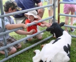 calf-and-kids2011