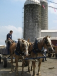 draft-horseride2008