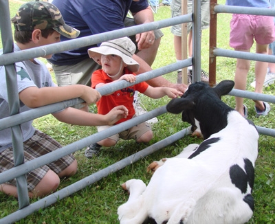 calf-and-kids2011